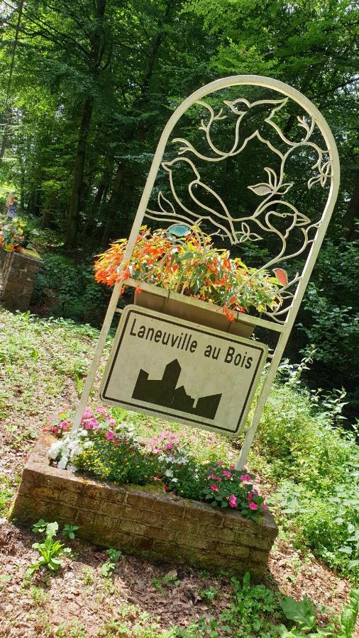 Le Prangeleux Bed & Breakfast Tenneville ภายนอก รูปภาพ